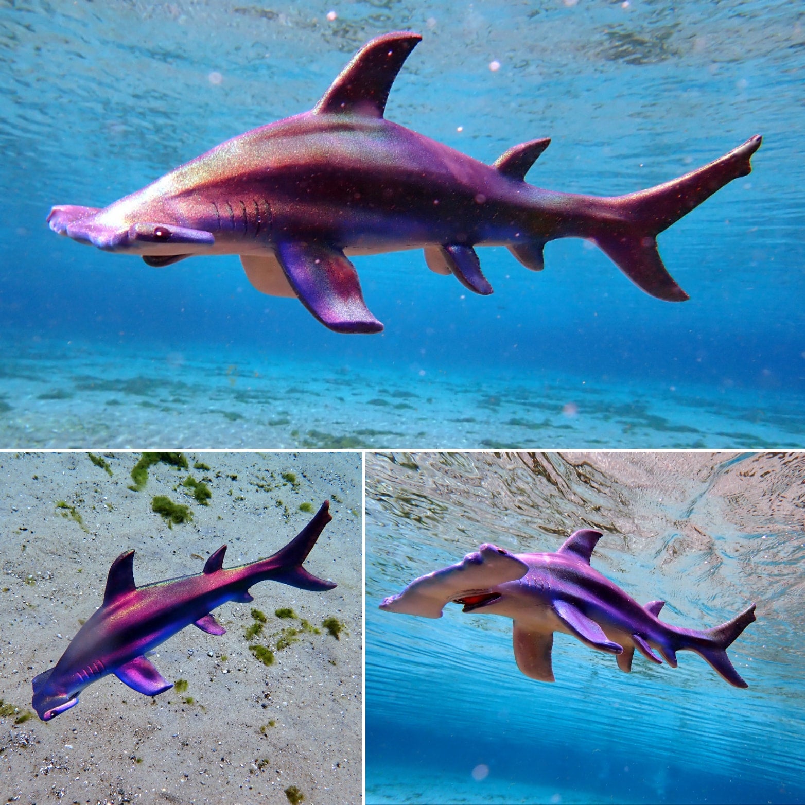 Teeny Tagalongs - Anchor the Baby Hammerhead Shark | Jurassic